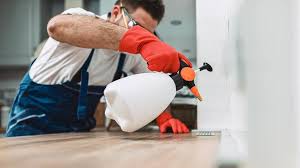 Real Estate Pest Inspections in Belle Plaine, KS